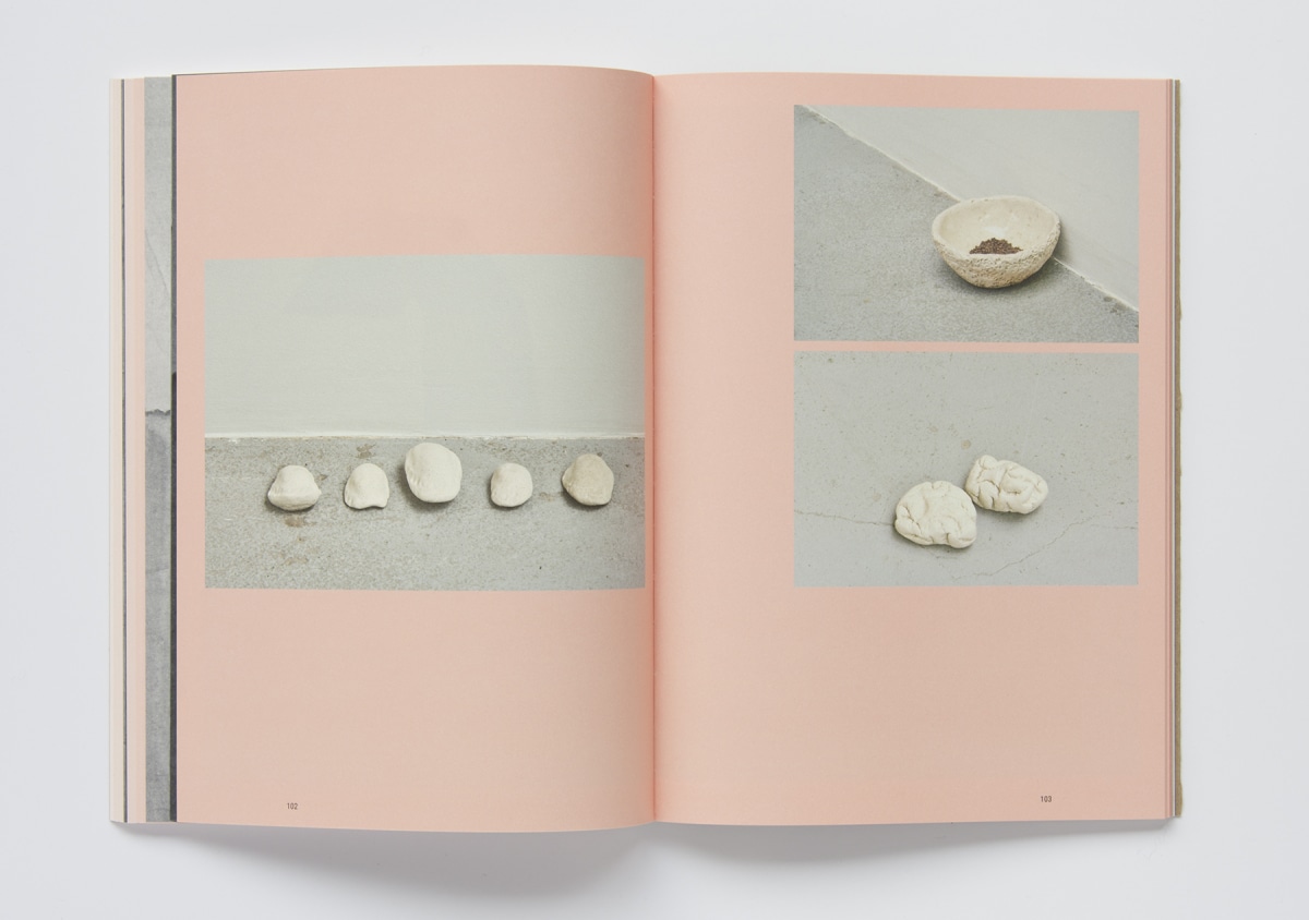 Heide Hinrichs - Morning Change © 2019 Posture Editions