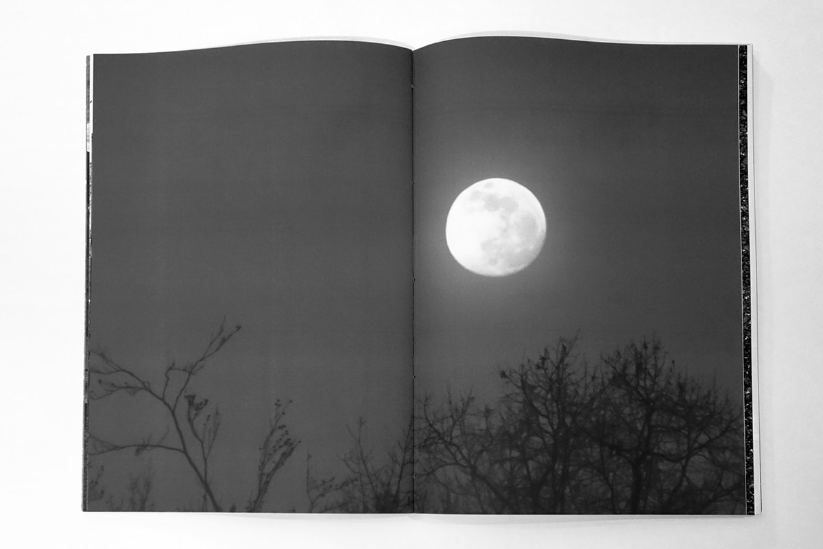 L'ombre d'un doute (Shadow of a doubt), Hugo Janin, 2020.