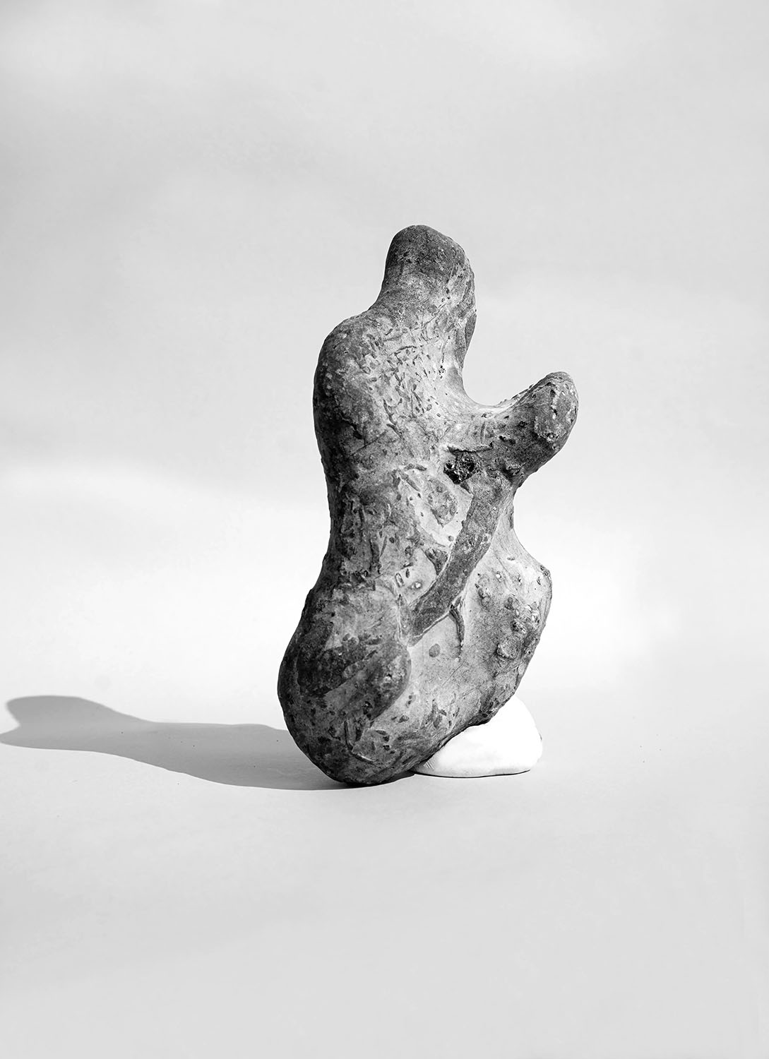 from Gravity Begins At Home, Guy Bolongaro, Here Press, 2021.
