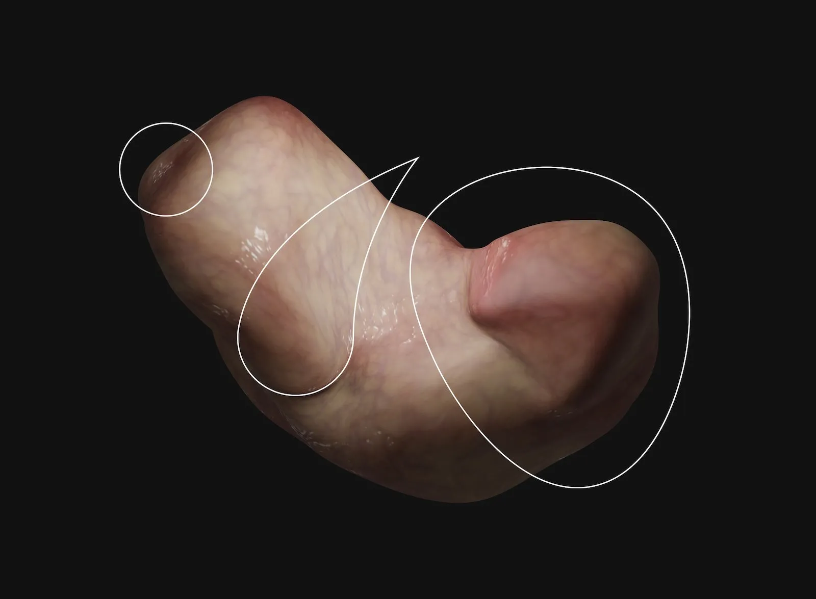 Image for Davide Marcianesi - Aruspicina Futura