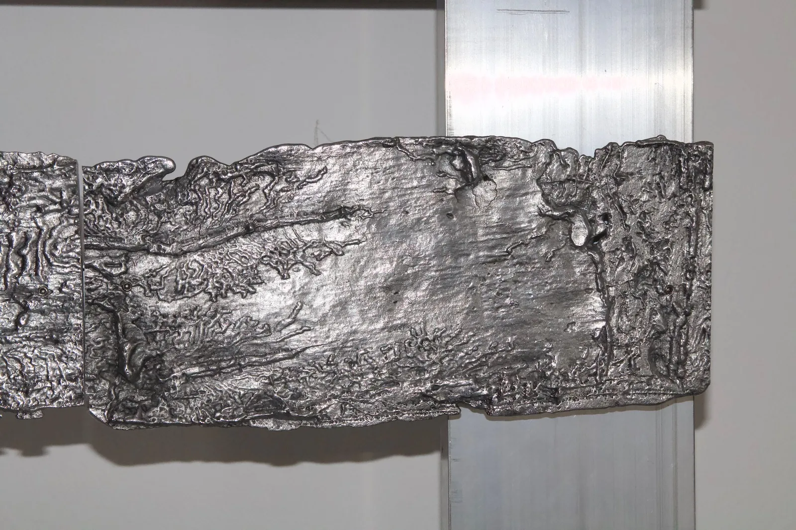 Image for Léonie von Saldern - Beetle Convicted After Spruce Found Dead