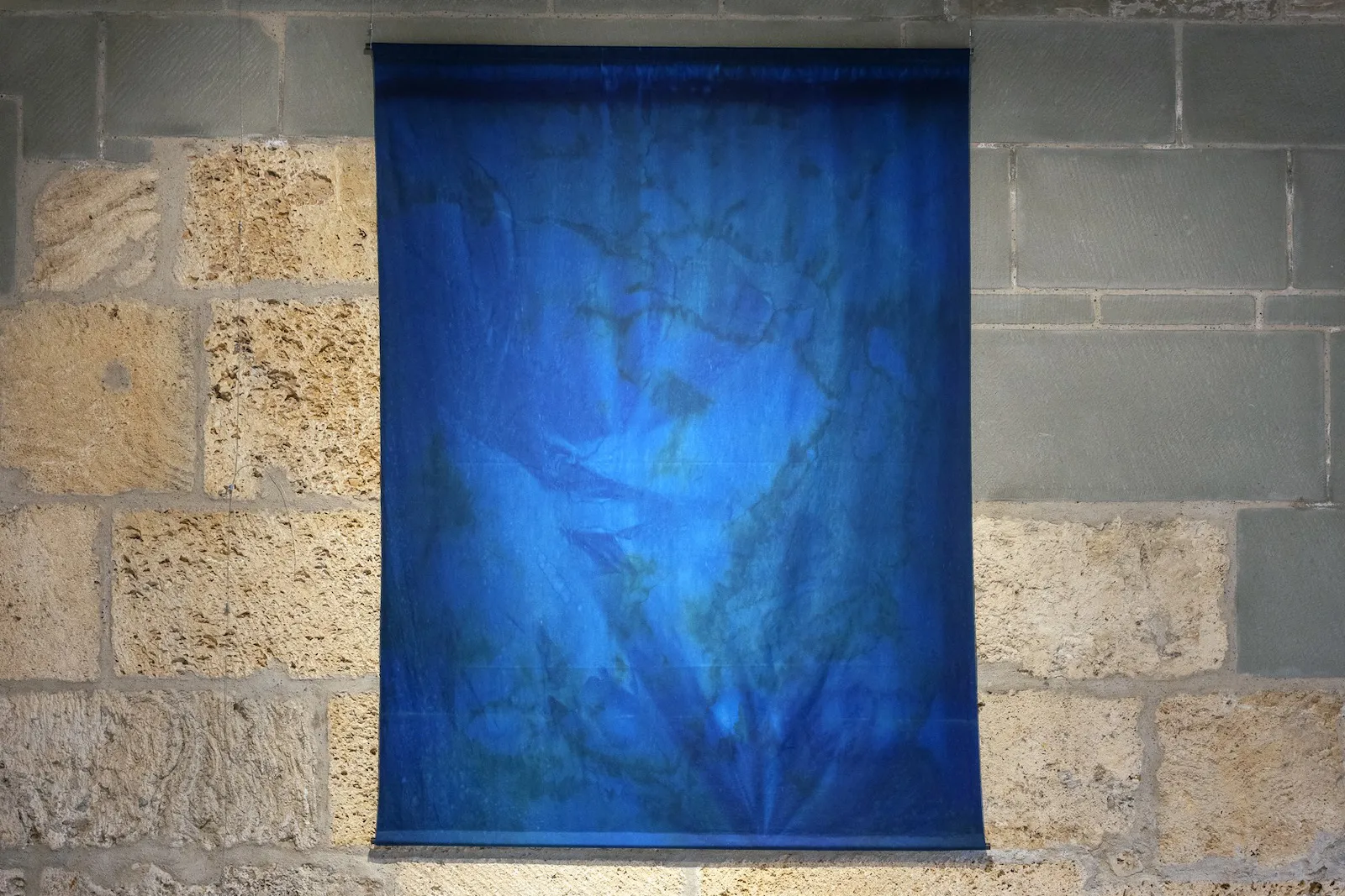 Image for Chiara Bertin - Forget-me-not